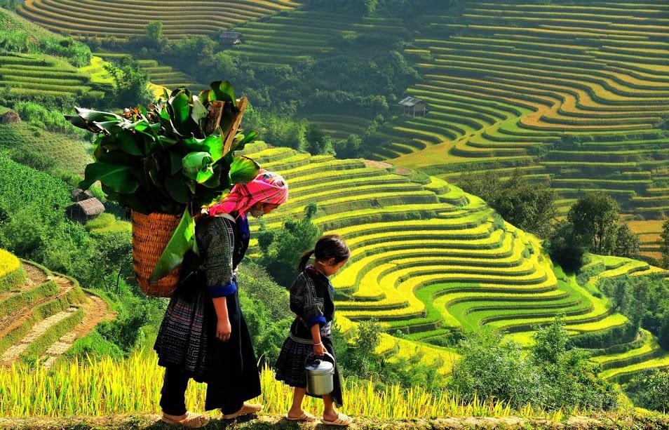 Hometravel Sapa Eksteriør billede